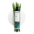 Infinite Line Shampoo Smooth Effect Professional Result