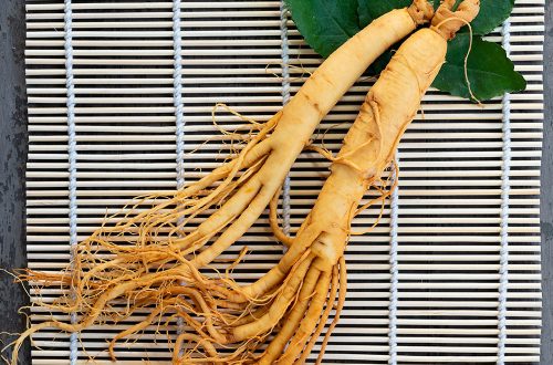 GINSENG 500x330 - Panax Ginseng Root Extract potencia la fuerza capilar