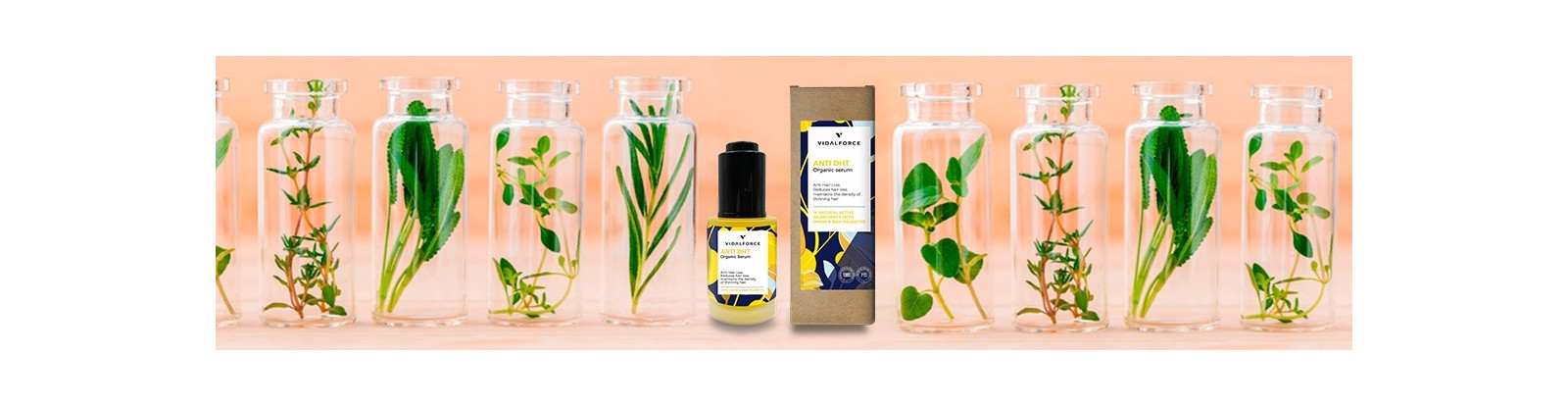 Sérum Antichute avec extrait d'oignon et saw palmetto