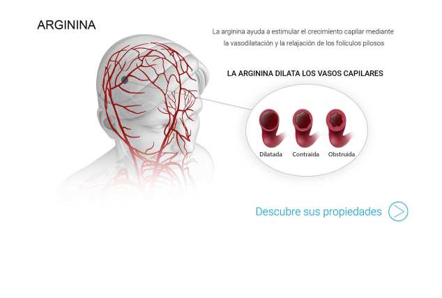 ARGININA-Y-SUS-EFECTOS-BENEFICIOSOS.jpg