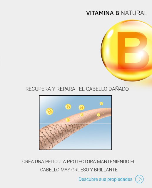 efectos-de-la-vitamina-b-en-la-ca_C3_ADd