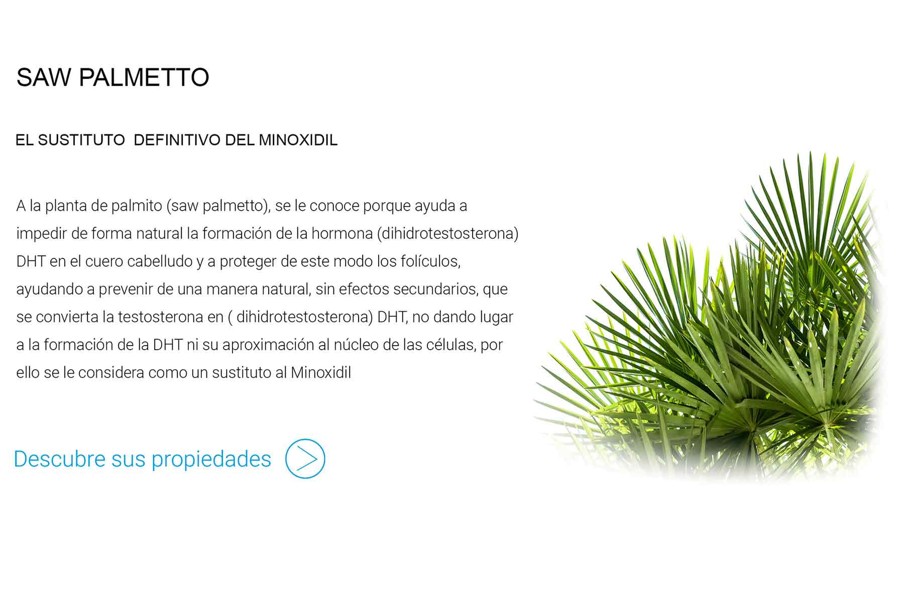 saw-palmetto-sustitutivo-minoxidil.jpg