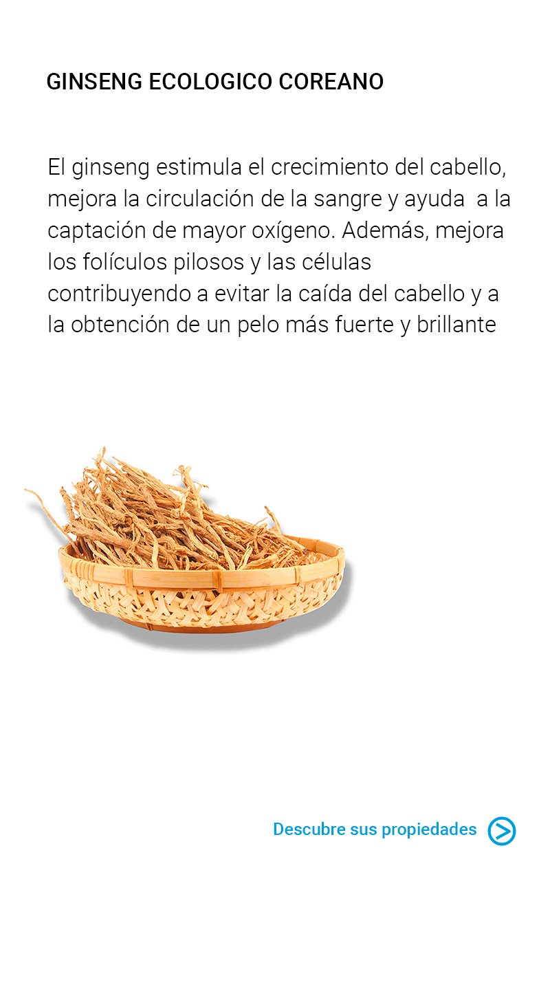 GINSENG-COREANO.jpg