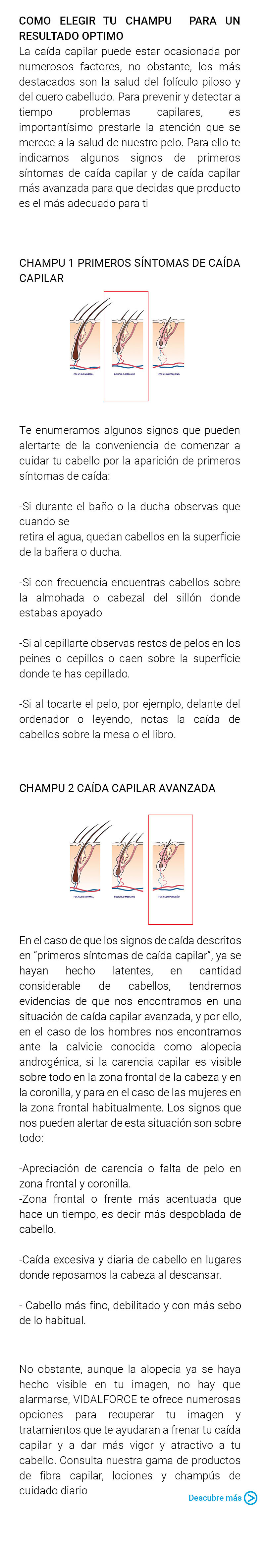 como-saber-que-tipo-de-alopecia-tienes.j