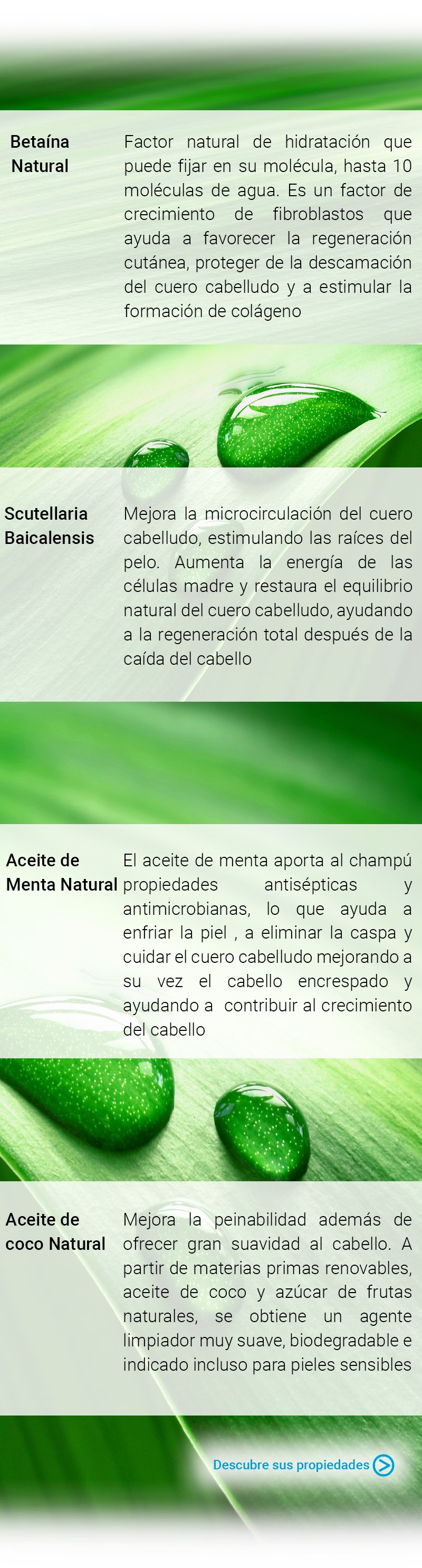 betaina-natural.jpg