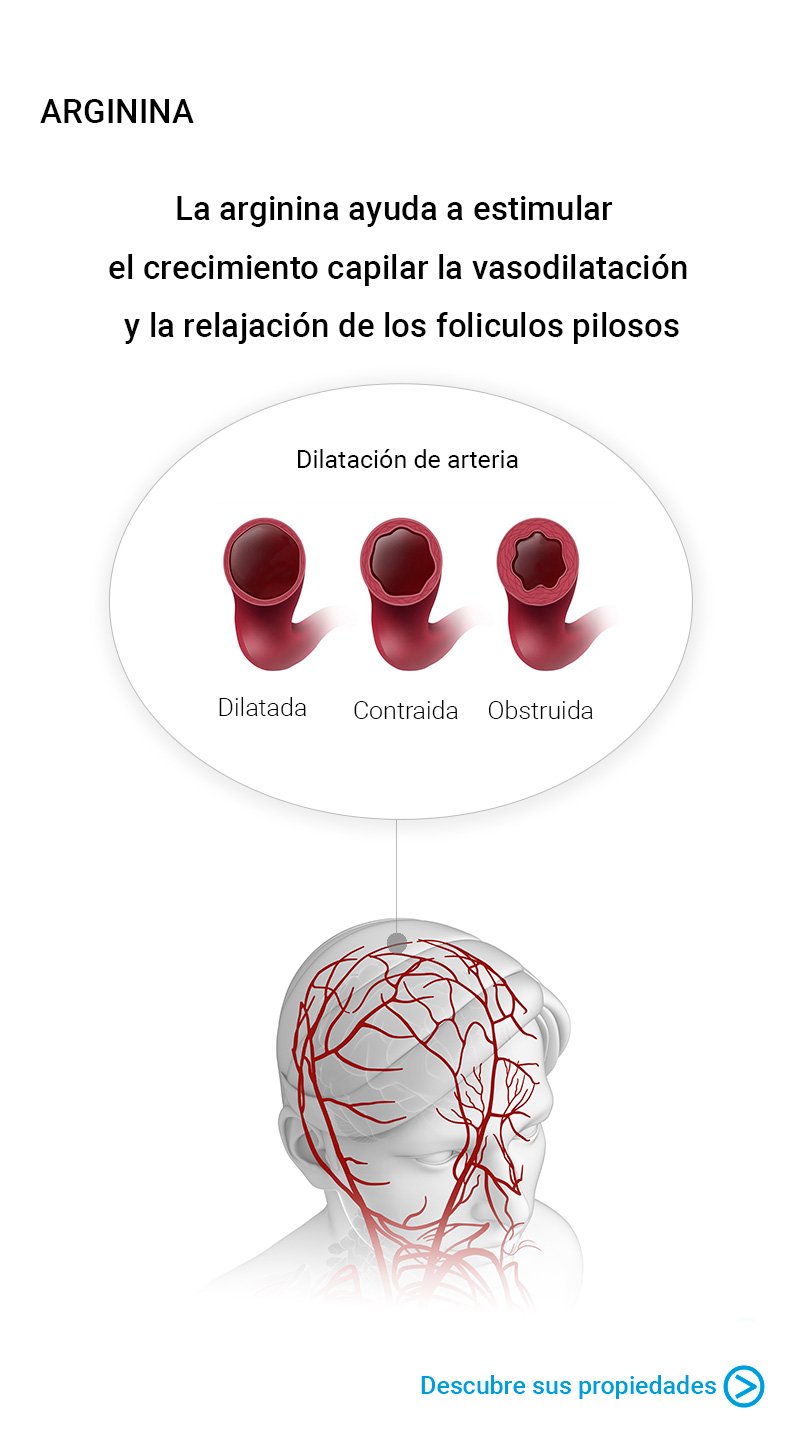 como-funciona-la-arginine.jpg