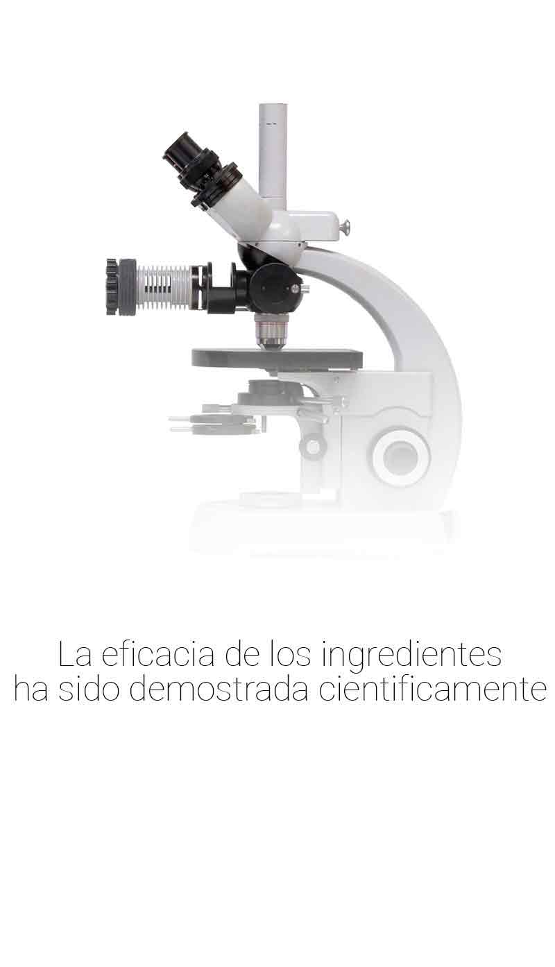 q10 contra la caida capilar.jpg